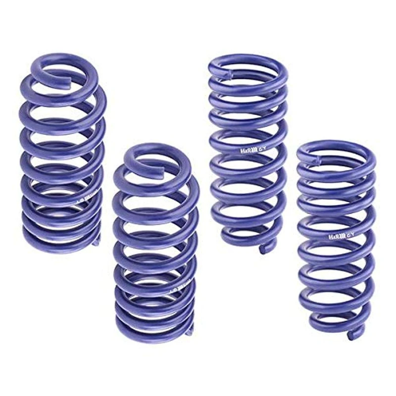 H&R Lowering Springs compatible with Tesla Model 3 4WD 2018- FA30/RA30mm - Image 1