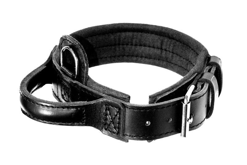 DINGO GEAR Drago Leather Dog Collar, Amortized with Strong Wide Handle, Handmade, Neck Girth 48-56 cm, for Training and Walks, Pull Protection, Soft Padding, Black (S04021)