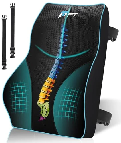 POOTACK Lumbar Support Cushion, Memory Foam Back Support Cushion Lumbar Support for Office Chair, Car Seat, Recliner, with Extension Strap and Mesh Cover, Christmas Early