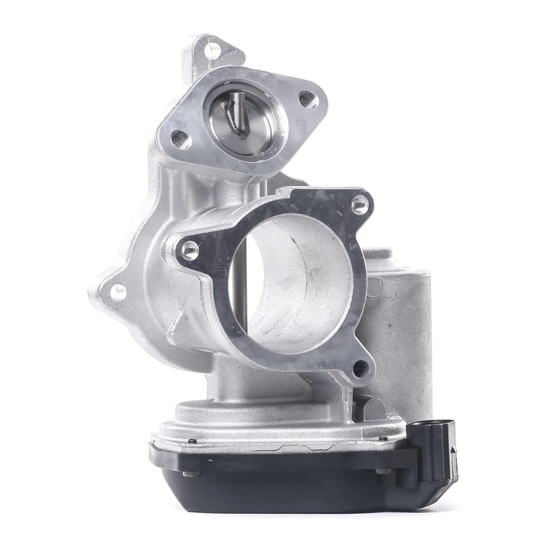 Delphi Technologies EG10404-12B1 EGR Valve