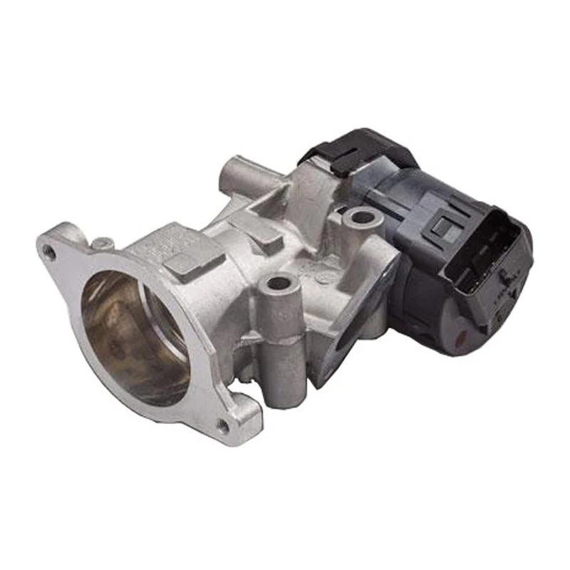 Delphi Technologies EG10419-12B1 EGR Valve - Image 1