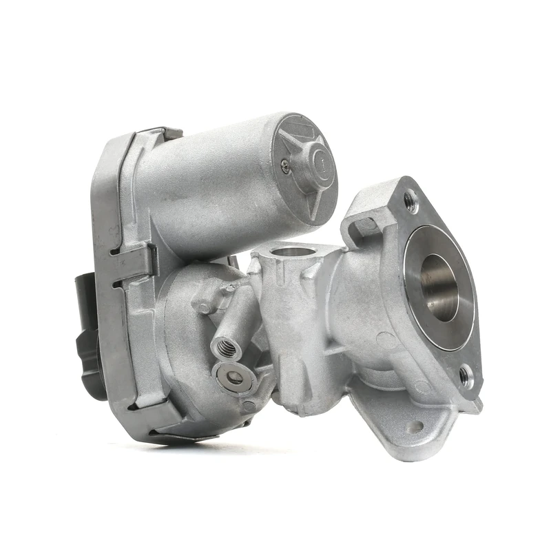 Delphi EG10399-12B1 - EGR Valve - Image 1