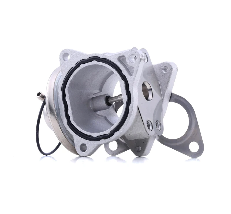 Delphi Technologies EG10421-12B1 EGR Valve