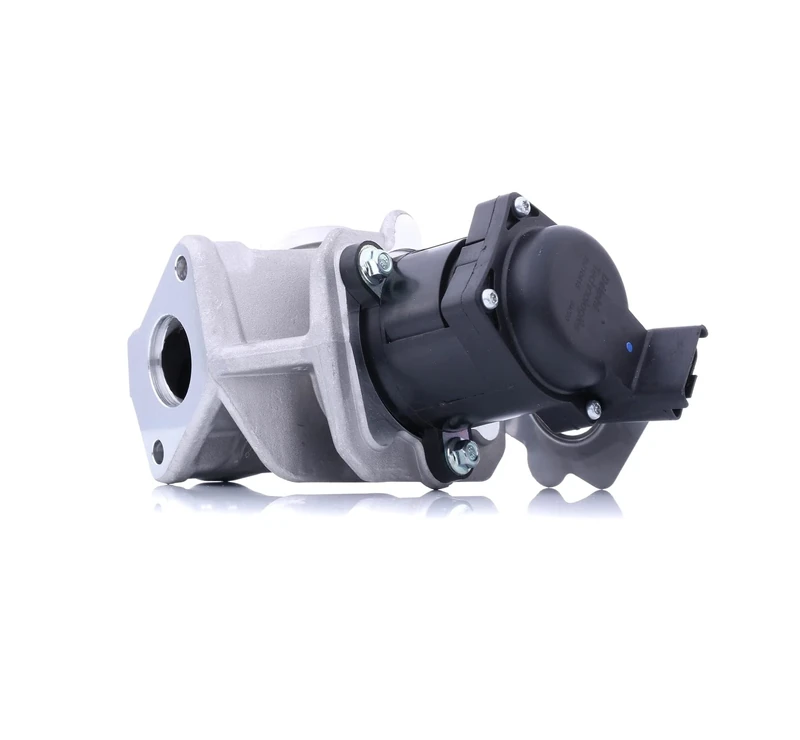 Delphi EG10415-12B1 - EGR Valve