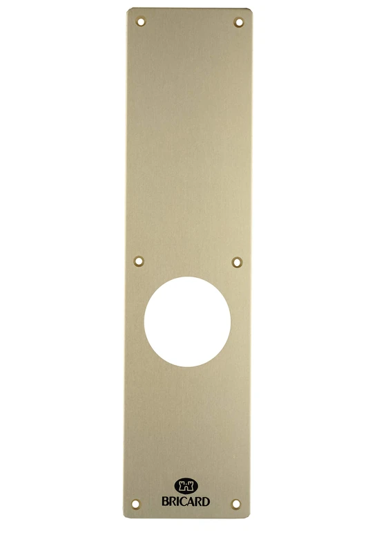 Bricard Half Set for Outdoor Door, 66393 - Image 1