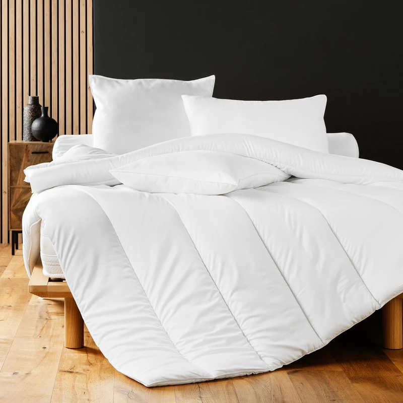 Douceur d'Intérieur, Double Duvet (260 x 240 cm) Premium Polyester Anti Dust Mite