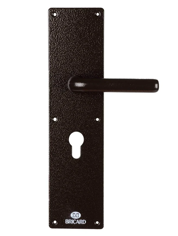 Bricard Demi-Ensemble 66180 Exterior Door Half Kit for Series 74 Standard Version Bronze