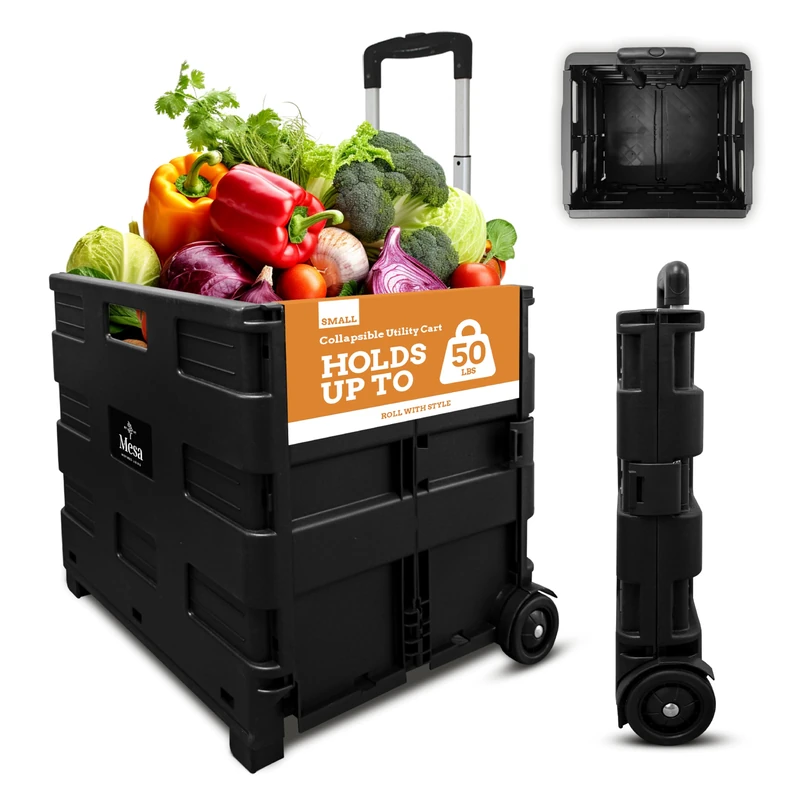 Inspired Living Pack & ROLL, Black - Image 1