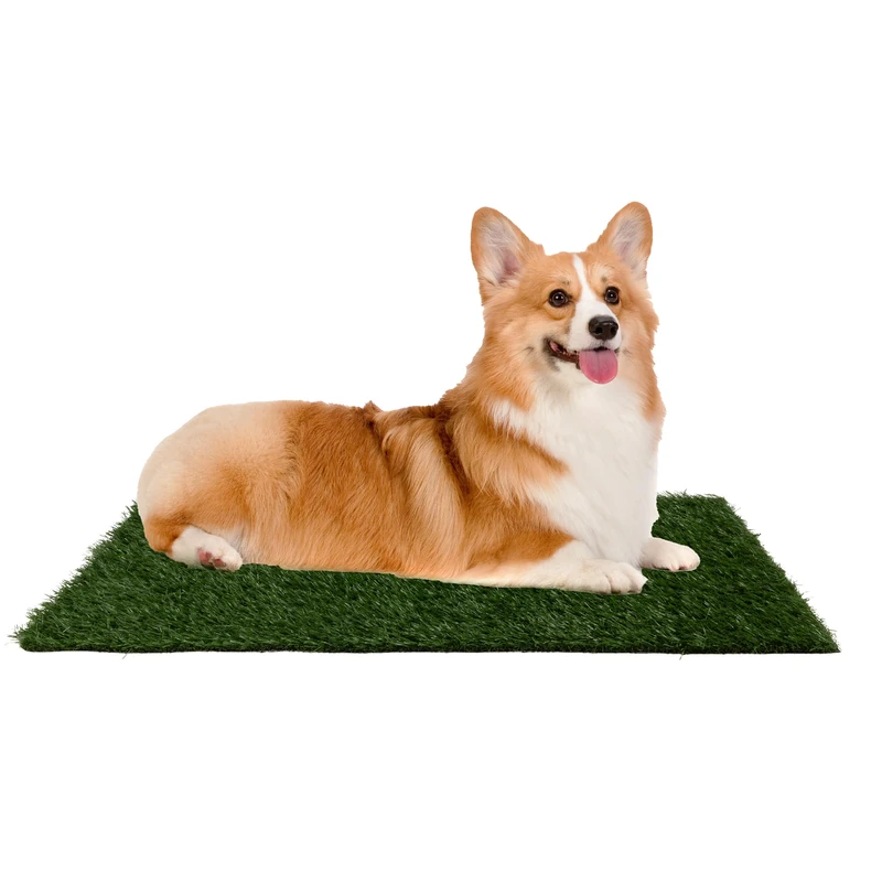 Artificial Grass Puppy Pee Pad for Dogs and Small Pets - 20x25 Reusable 3-Layer Training Potty Pad with Tray - Dog Housebreaking Supplies by PETMAKER,Green