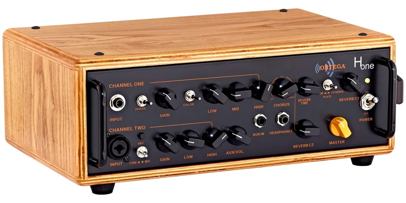 Ortega Guitars Amplification Series Head - Acoustic Guitar Amp Head - 100 Watt Output - Including Carry Bag - Ash, Natural (HONE)