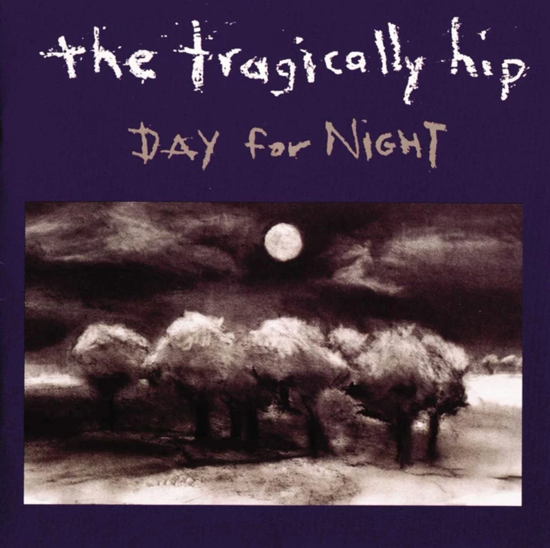Day for Night [VINYL]