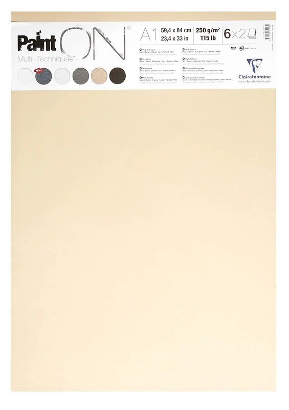 Clairefontaine - Ref 975413C - Paint'On Loose Sheets (Pack of 12 Sheets) - A1 (594 x 840mm), 250gsm Paper - Suitable for Dry & Wet Technqiues - Assorted Colours