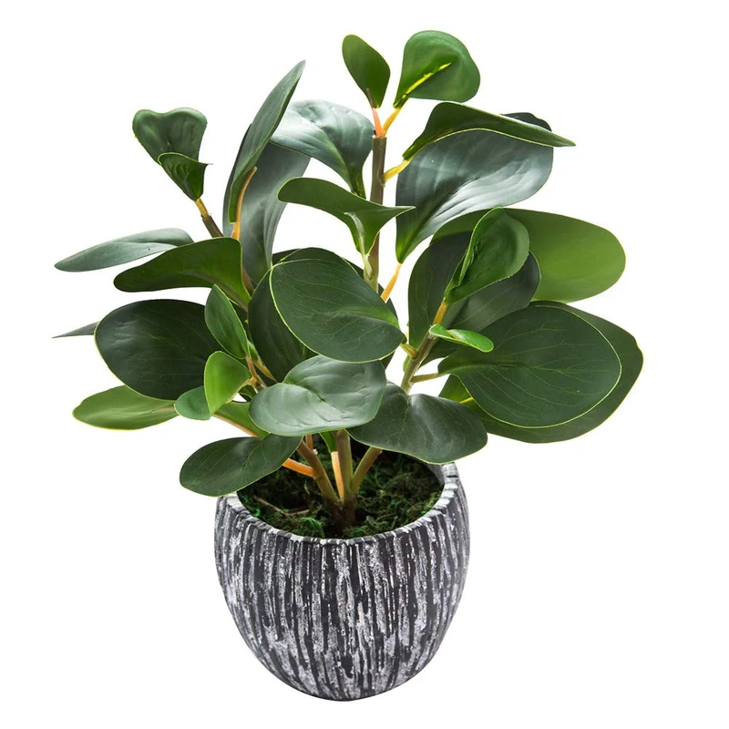 AlphaAcc Artificial Plants Real Looking and Touching Fake Plant Evergreen Plastic Fiddle Leaf Fig Plant with Rustic Black Cement Planter for Housewarming Office Desk Decor