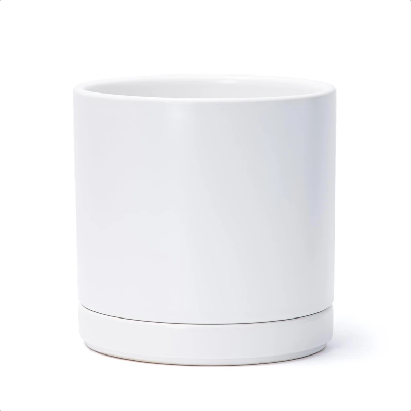 D'vine Dev 8 Inch Ceramic Planter Pot with Drainage Hole and Saucer, Indoor Cylinder Round Planter Pot, White, 94-O-D-1