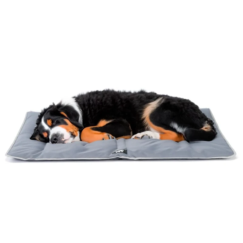 Ferplast Extra Large Dog Bed - Washable, Waterproof & Scratchproof - Mat for Cars, Houses & Baskets - Soft, Jolly - 108 x 79 CM, XL, GREY