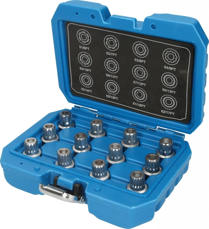 BRILLIANT TOOLS BT691190 Rim Lock Assortment | for VW | 12 Pieces [Powered by KS Tools]