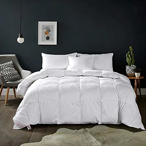 Maple Down Soft Queen Size Comforter Duvet Insert-Down Alternative Comforter Quilted with Corner Tabs-Lightweight Breathable Brushed Microfiber Machine Washable (White,90”x90”)