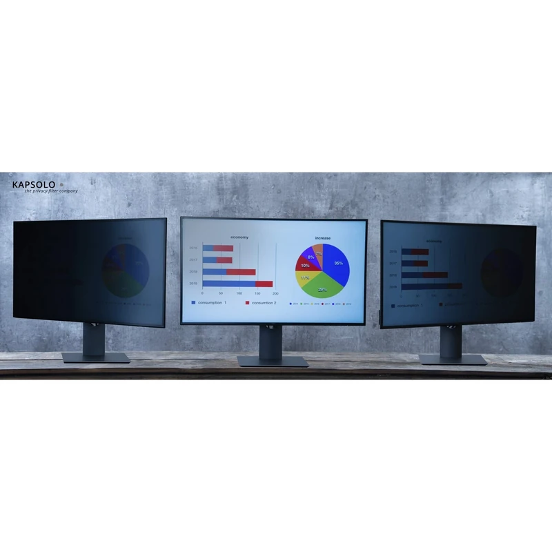 KAPSOLO 2-Way Plug In Privacy Filter for 66 cm (26 Inches) Wide 16:10 transparent