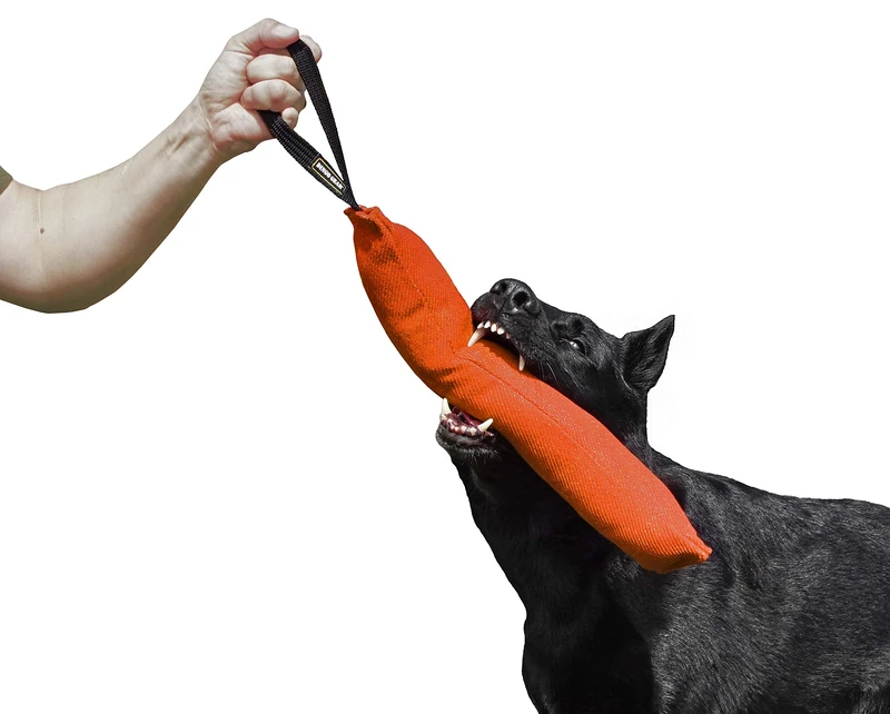 DINGO GEAR Nylcot Bite Tug for Dog Training K9 IGP & Fun, 1 Handle, Orange 45 x 8 cm