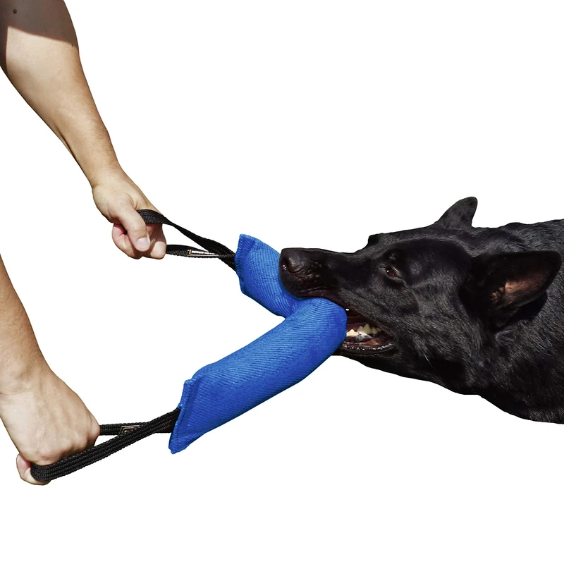 DINGO GEAR Nylcot Bite Tug for Dog Training K9 IGP & Fun, 2 Handles, Blue 45 x 8 cm