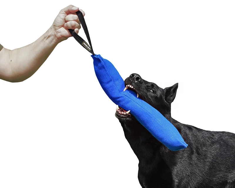 DINGO GEAR Nylcot Bite Tug for Dog Training K9 IGP & Fun, 1 Handle, Blue 45 x 8 cm