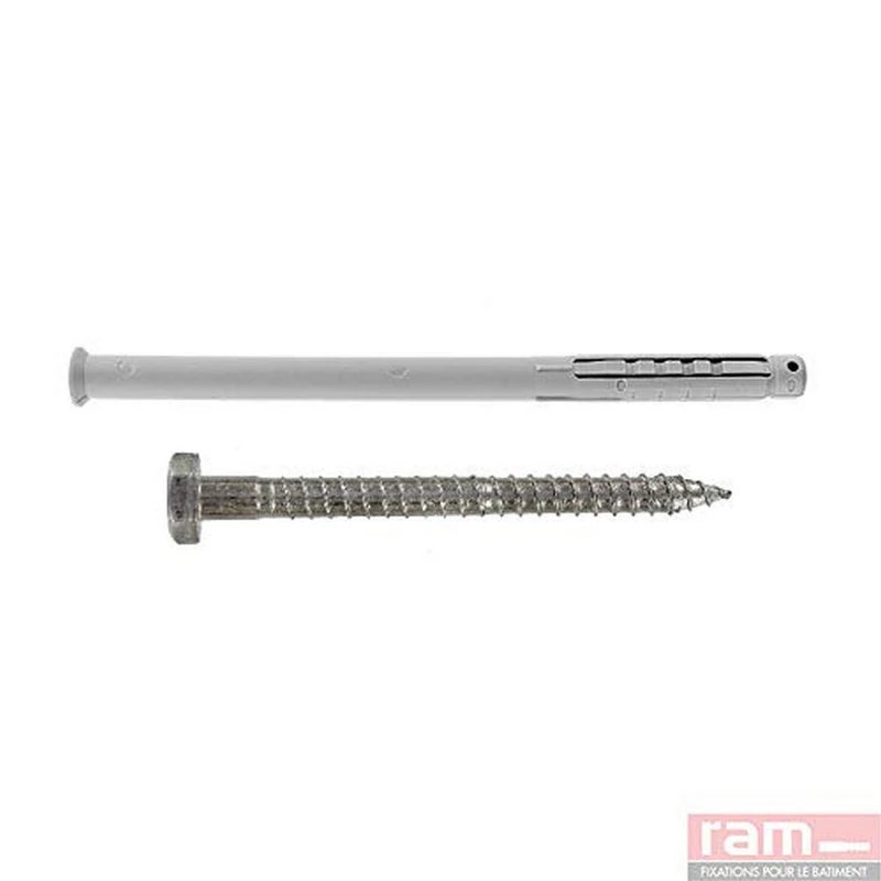 Box of 50 Long Wall Plugs with Coach Screw Zinc-Plated Steel 10 mm x 120 mm