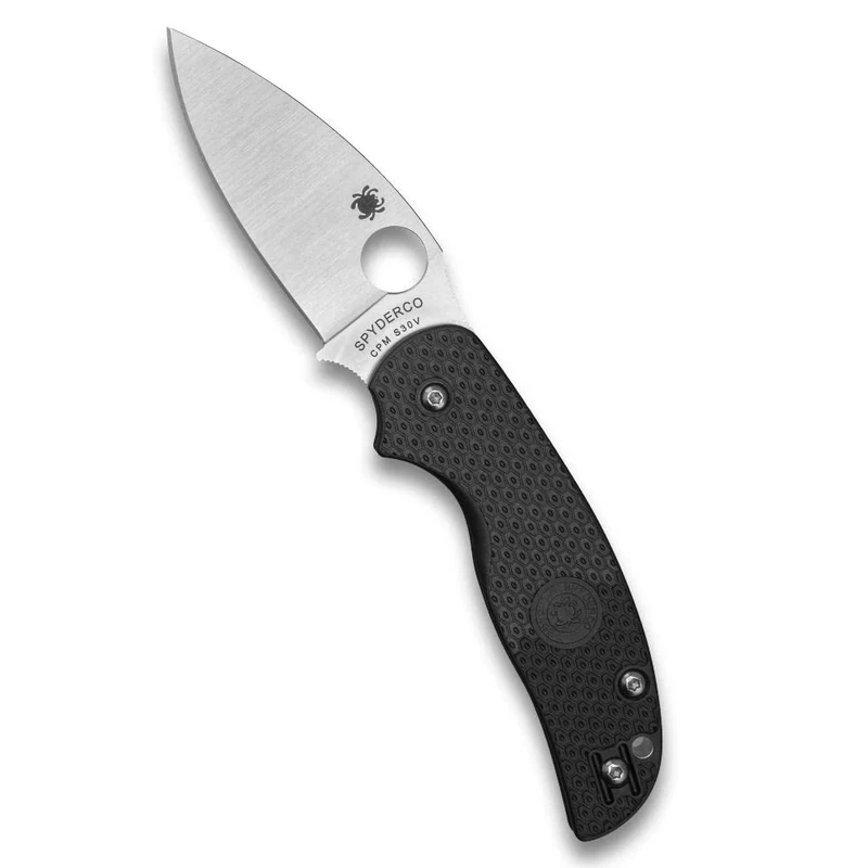 Spyderco C123PBK Knife Sage 5, Black