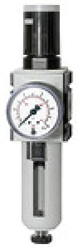 RIEGLER Futura 151779-FU 6111-1 Filter Regulator PC, SK, Mano, BG 4, G 1, 0.1-1 Bar, HA, Pack of 1