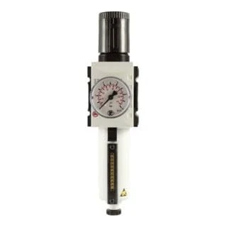 RIEGLER Futura 139494-FU 814-M-10 Filter Regulator MB, SR, Mano, BG 2, G 1/2, 0.5-10 Bar, HA, Pack of 1