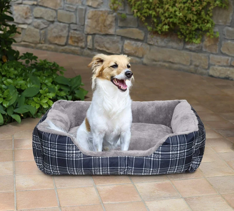 Sogni e Capricci Bedpet, Willy, 84x66x19cm