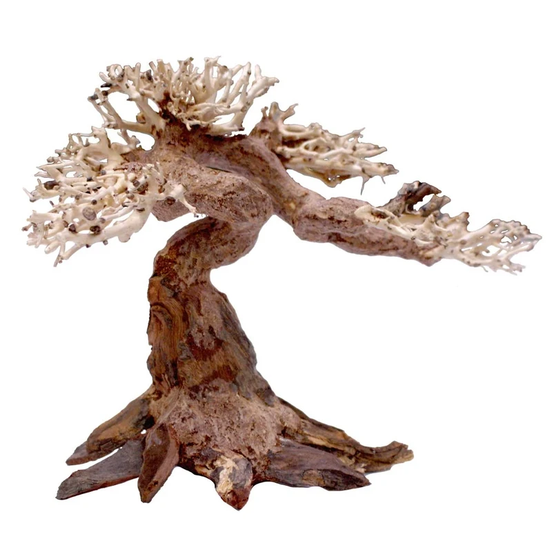 Amtra - Oriental Wind 5 wood, handmade, for aquarium, 25x10x18 CM