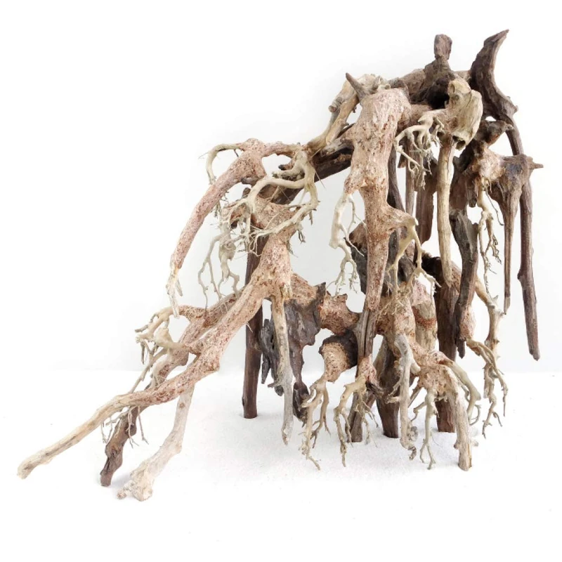 Croci Wood Oriental Wind 1 Medium 1 Count 21 g