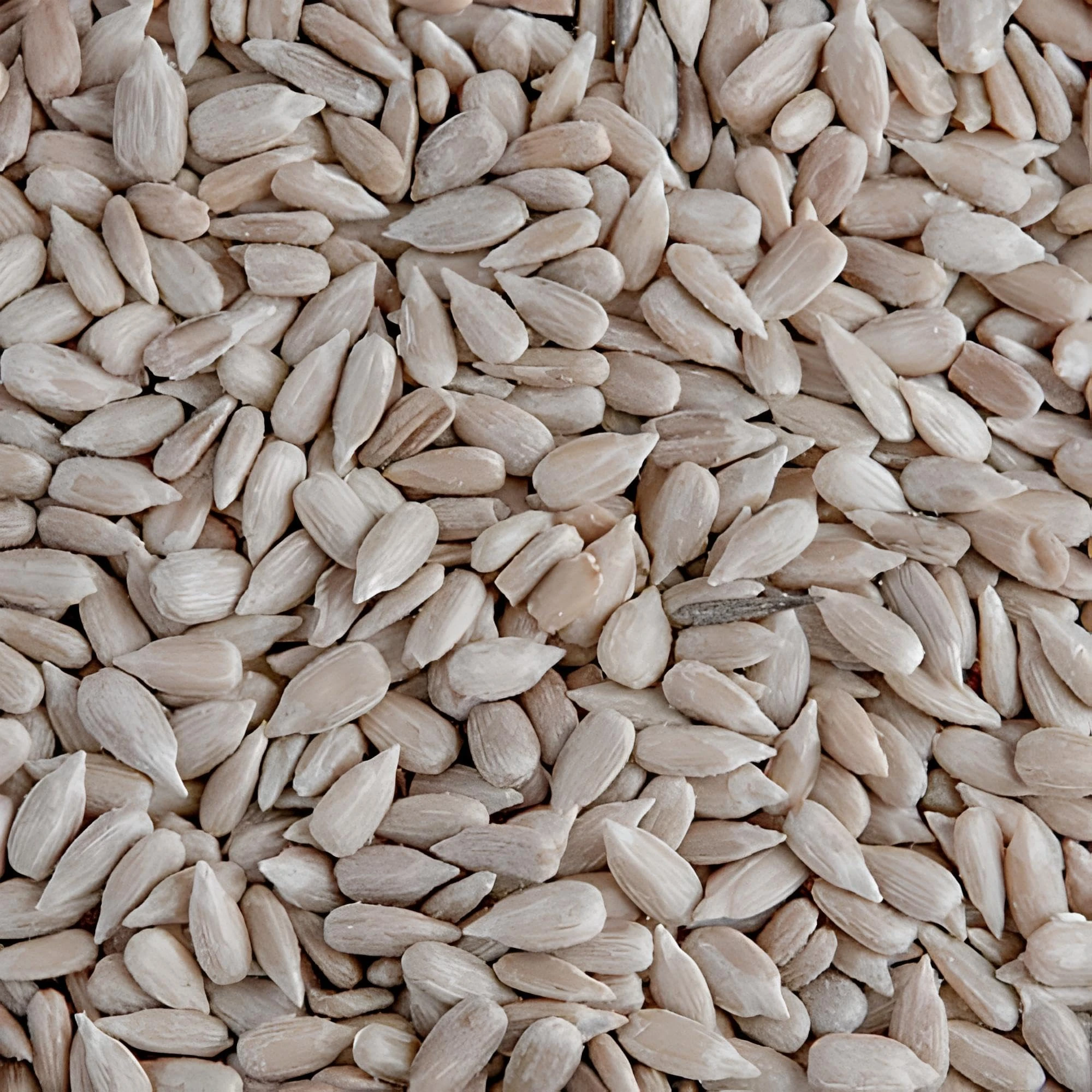 Leagrams Premium Sunflower Hearts 20kg