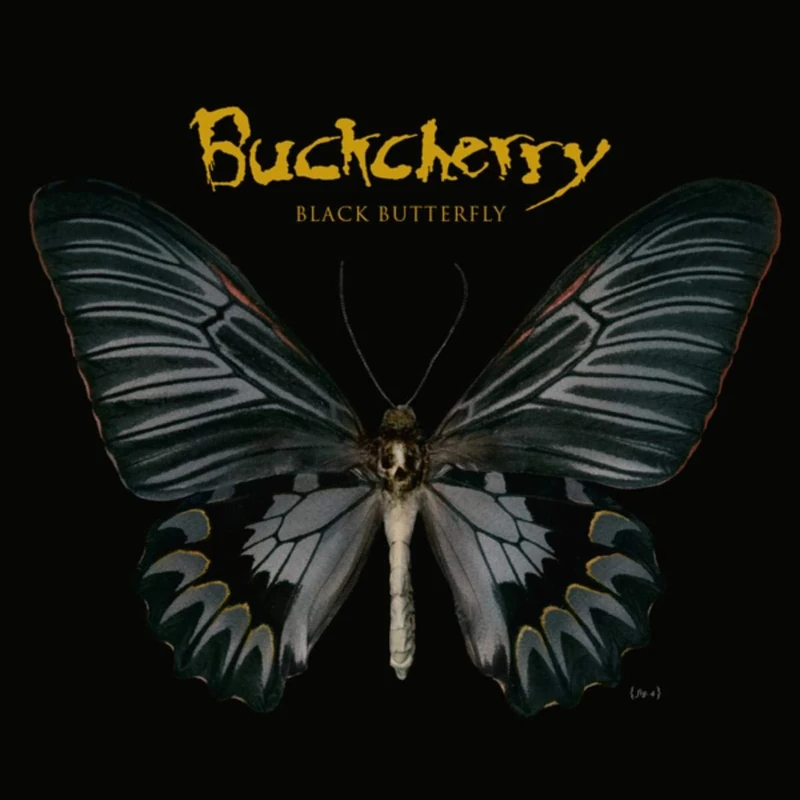 Black Butterfly [Explicit] - Rock Digital Music Album - Image 1