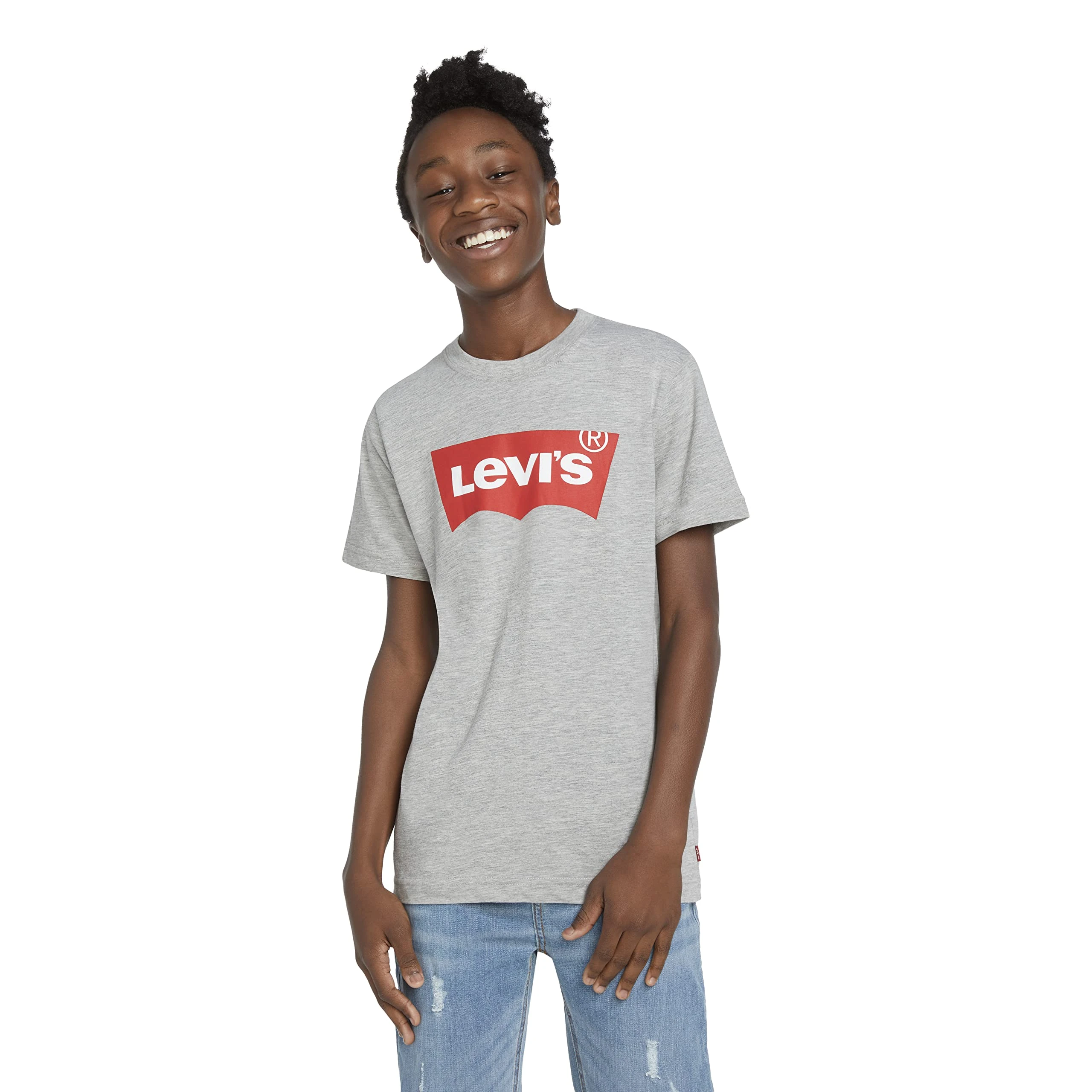 Levi's Kids Batwing Tee Boys, Grey, 14 Years