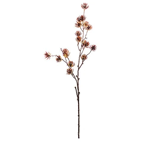 EUROCINSA Ref.21021C72 CIPRES Branch, Box of 12, Brown, Beige, 91 cm