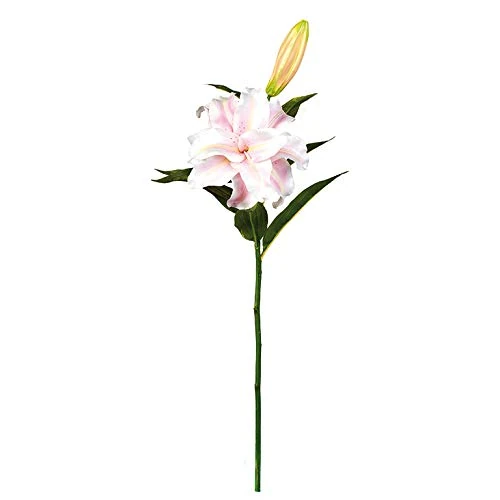 EUROCINSA Ref.13250C21 LILY PINK, Box of 6pcs, 60cm
