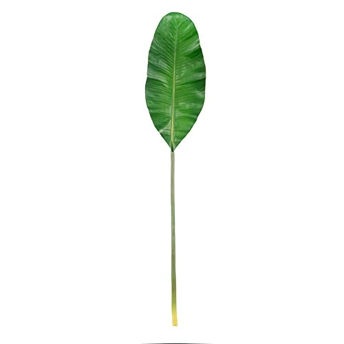 EUROCINSA Ref.30413C54 Green Banana Blade, Box of 6pcs, 118cm - Image 1