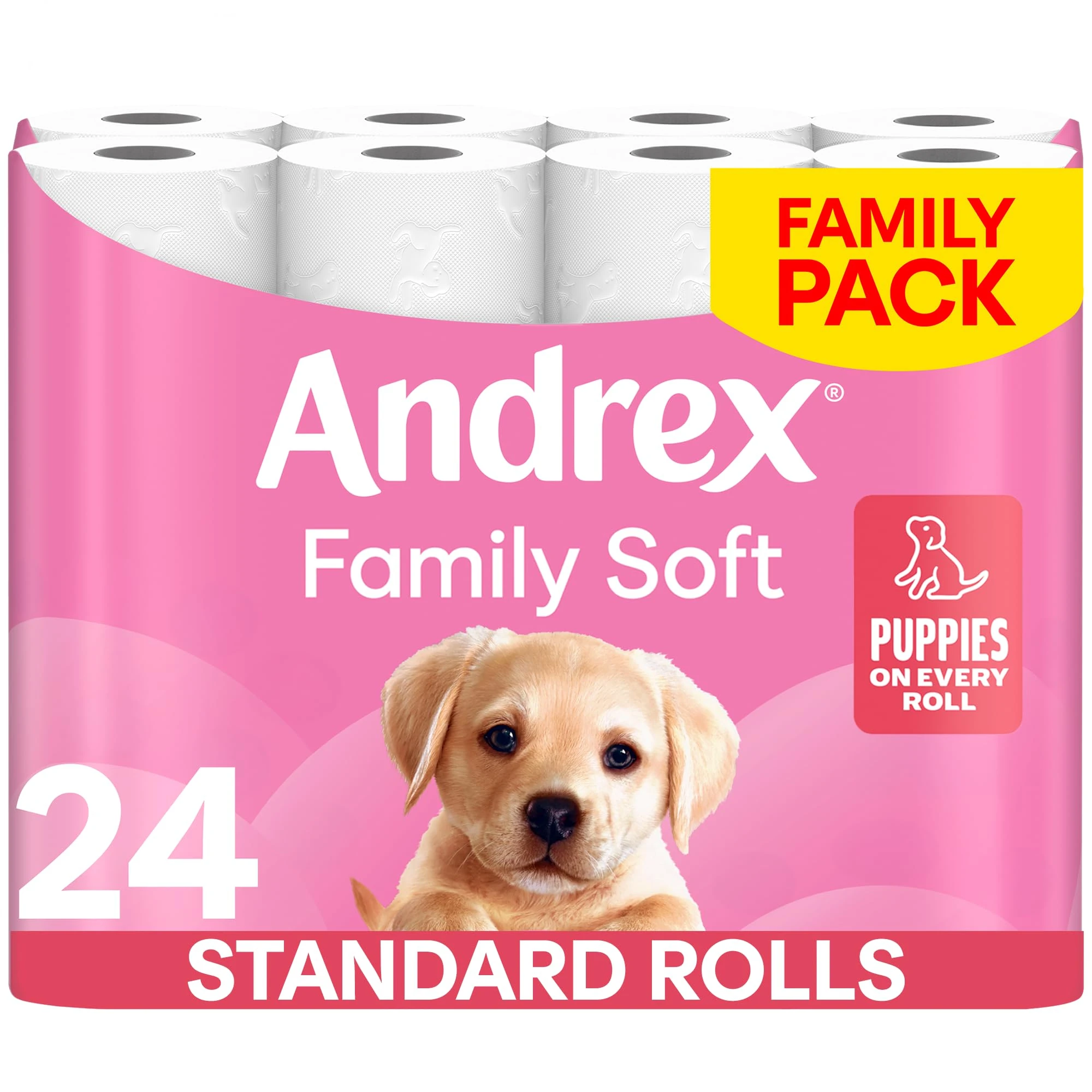 Andrex Family Soft Toilet Paper 24 Rolls (Previously Andrex Gentle Clean) Gentle on your Family’s skin– Pack of 24 Toilet Rolls, 170 sheets Per Roll, FSC Certified