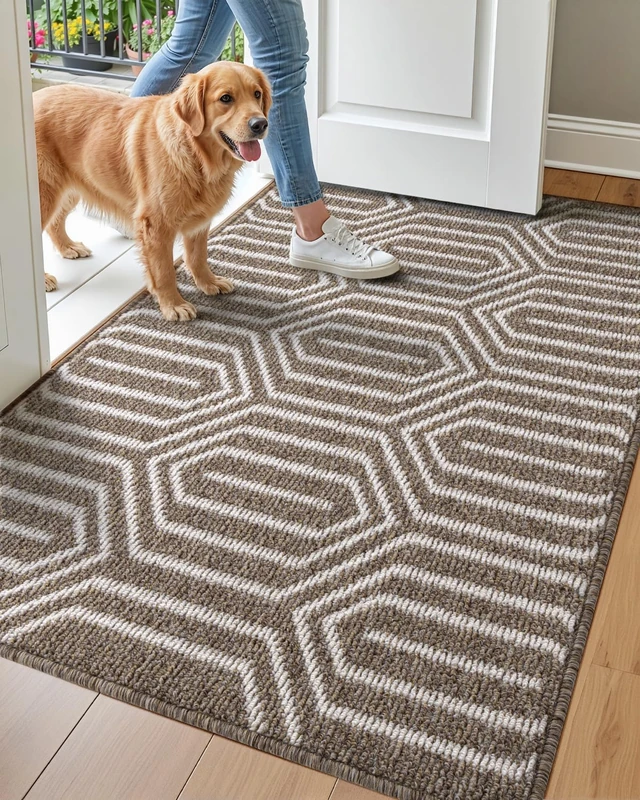 DEXI Indoor Door Mat Durable Front Door Mats for Entryway, Non Slip Absorbent Resist Dirt Entry Rug, 32"X48" Doormat Indoor Entrance, Machine Washable, Brown - Image 1