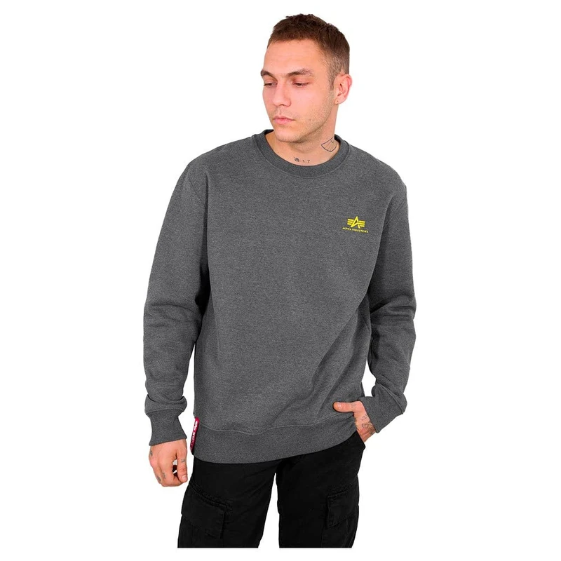 ALPHA INDUSTRIES Men's Basic Sweater Small Logo Sports Hoodie, charcoal heather, M