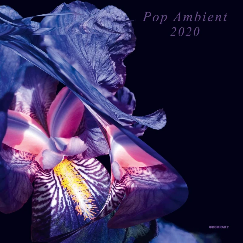 Pop Ambient 2020 [VINYL]