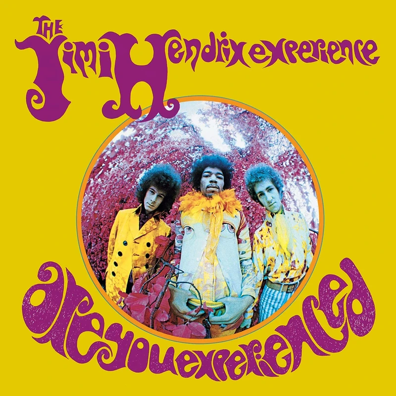 Are You Experienced? - Image 1