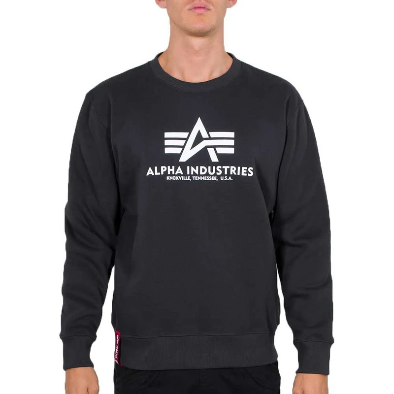 ALPHA INDUSTRIES Men's Basic Sweater Sports Hoodie, Opaque, Iron Grey, L