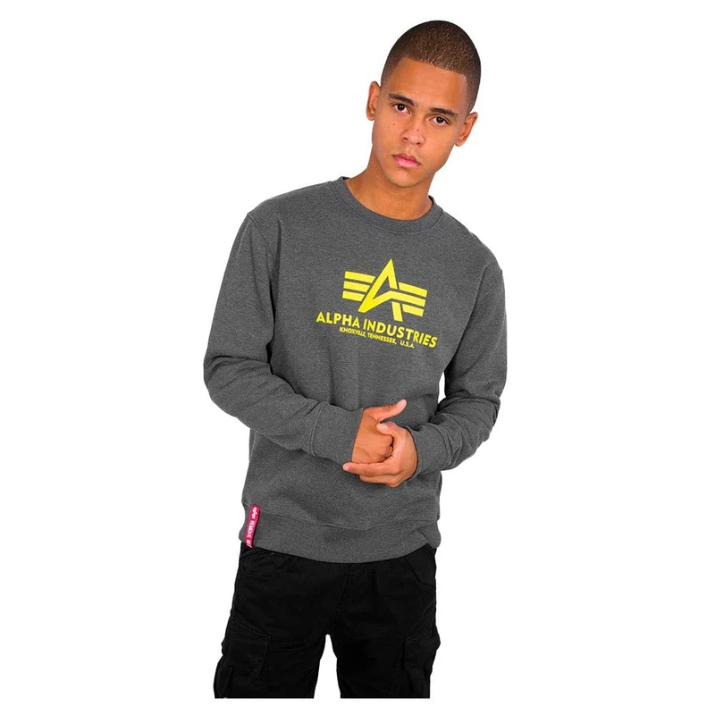 ALPHA INDUSTRIES Men's Basic Sweater Sports Hoodie, charcoal heather, XL - Image 1