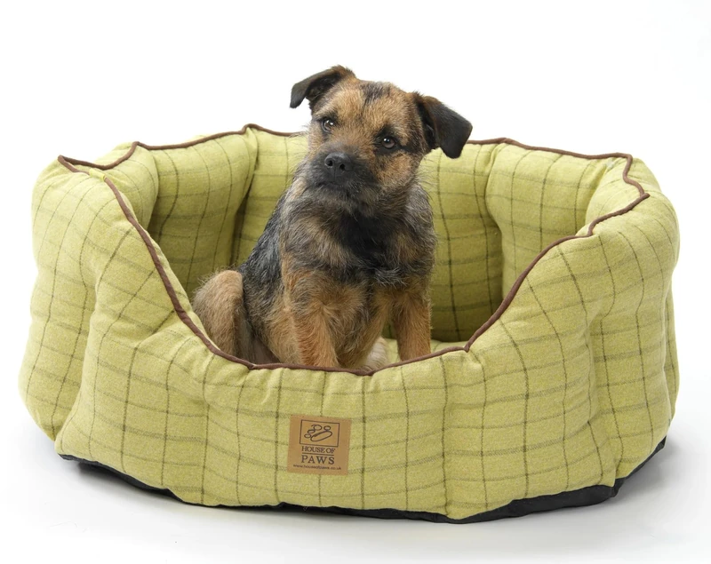 House of Paws Green Tweed Oval Snuggle Bed - Small, 1120 g