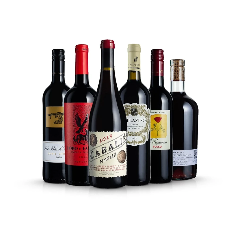 Laithwaites Red Wine Bestseller Collection (Mixed Case of 6) France, Italy, Portugal, Argentina, Australia 12-13.5% ABV