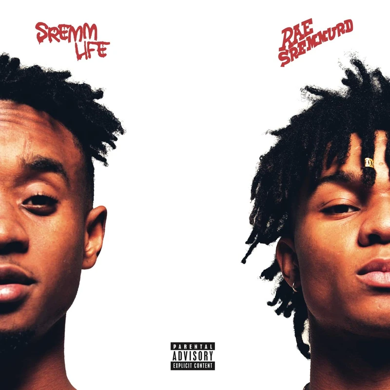 Universal Music Group SremmLife - Hip-Hop Vinyl Record