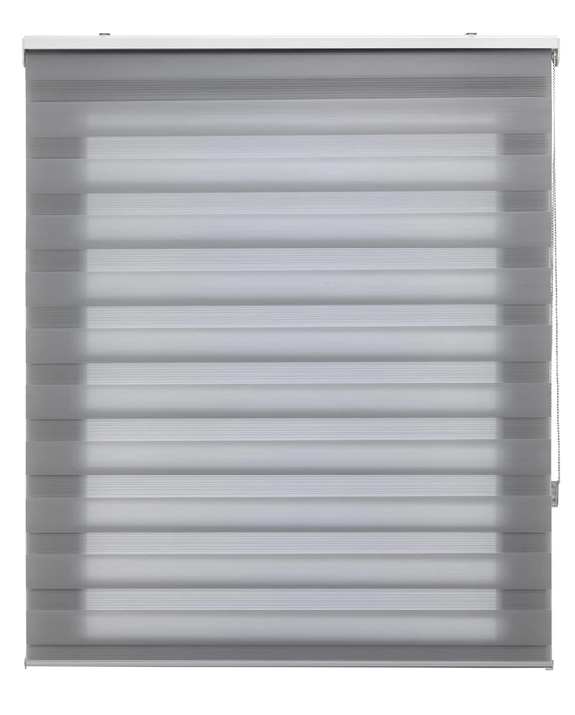 Blindecor | Night and Day Roller Blind Customised | Double Layer | Grey | 70 x 180 cm (W x H) Fabric Size 67 x 175 cm | Window Blinds