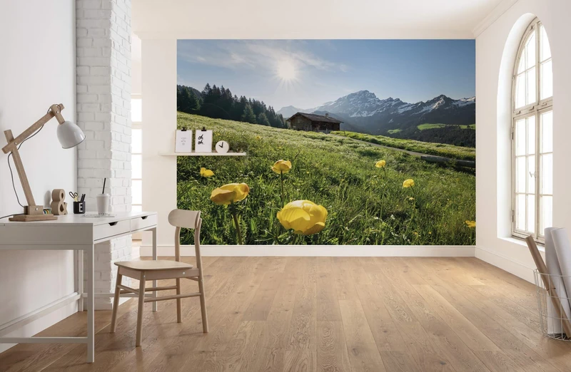 Komar Next Page SHX8-003 Non-Woven Photo Wallpaper XXL Decoration Nature Landscape Bedroom Living Room Office Hallway Size 400 x 280 cm (Width x Height) Colourful